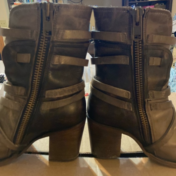 Freebird By Steven Baker - Picture 6 of 6